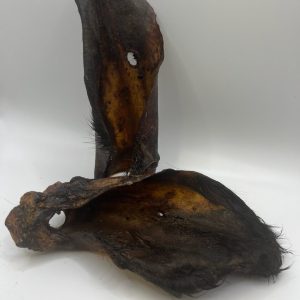 Cows Ears with Hair